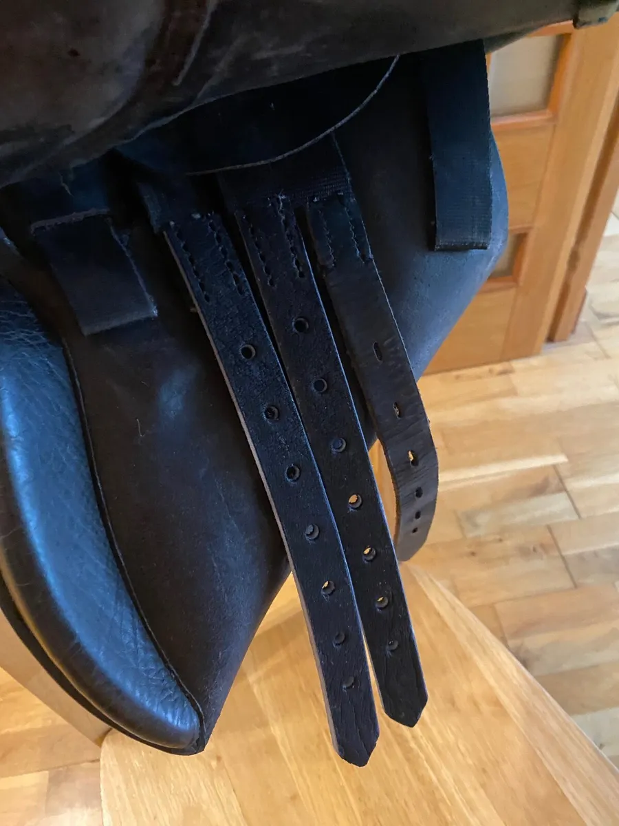 Saddle - Image 4