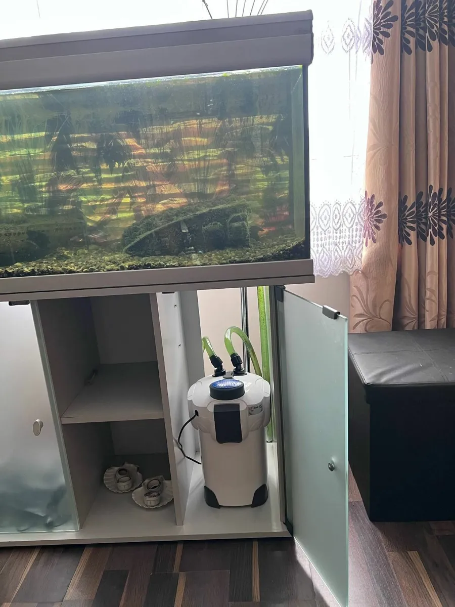 Fish Tank 200l - Image 2