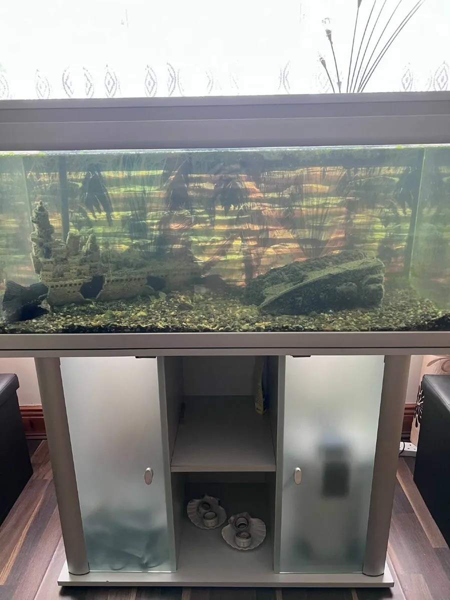 Fish Tank 200l - Image 1