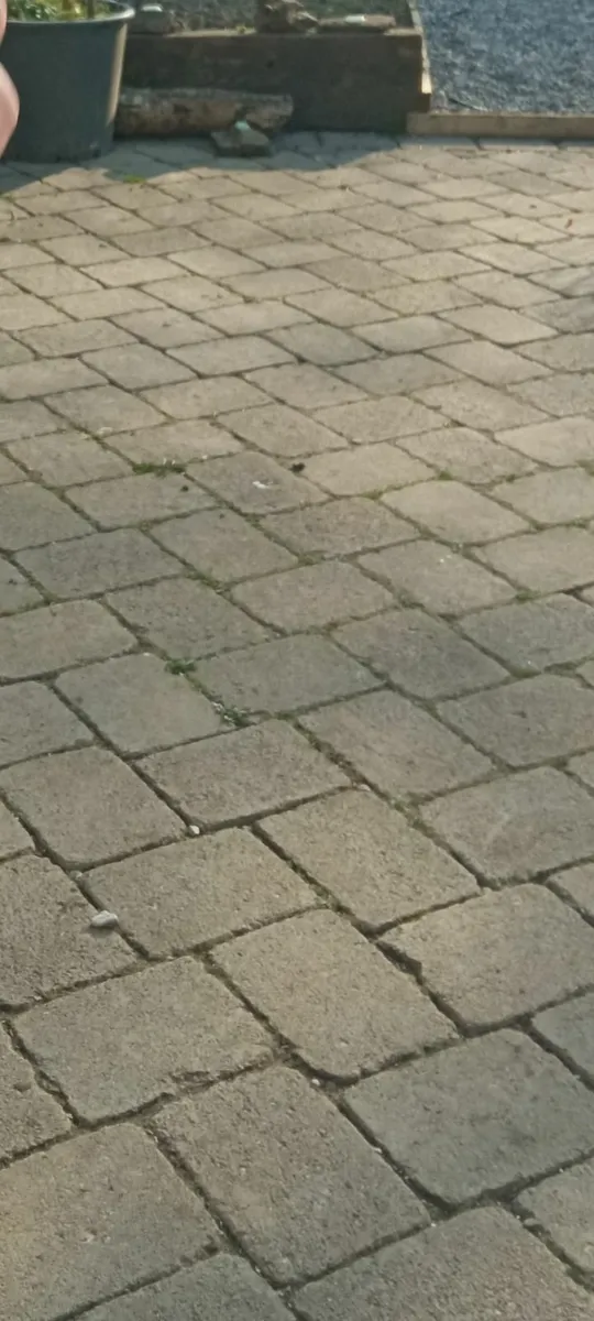 Paving stones - Image 4