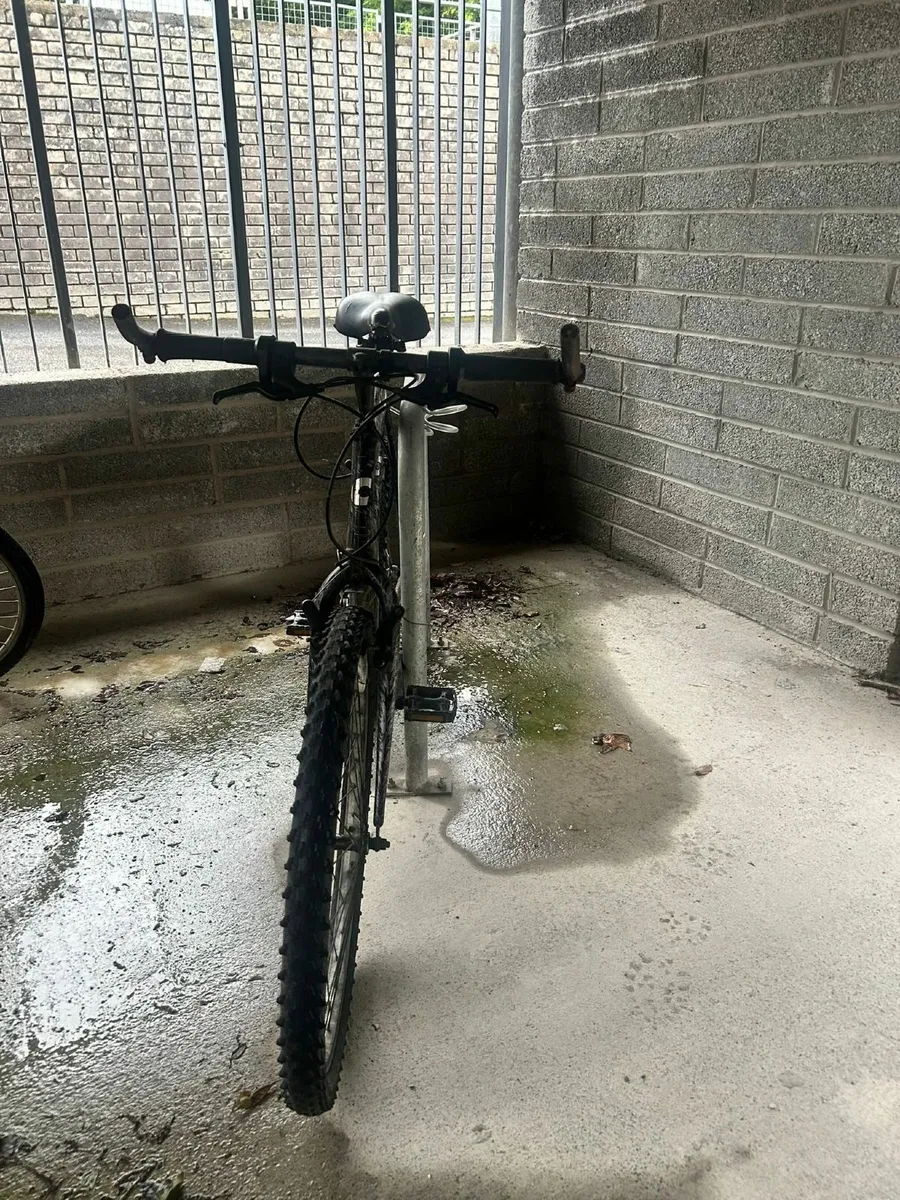 Bicycle - Image 1