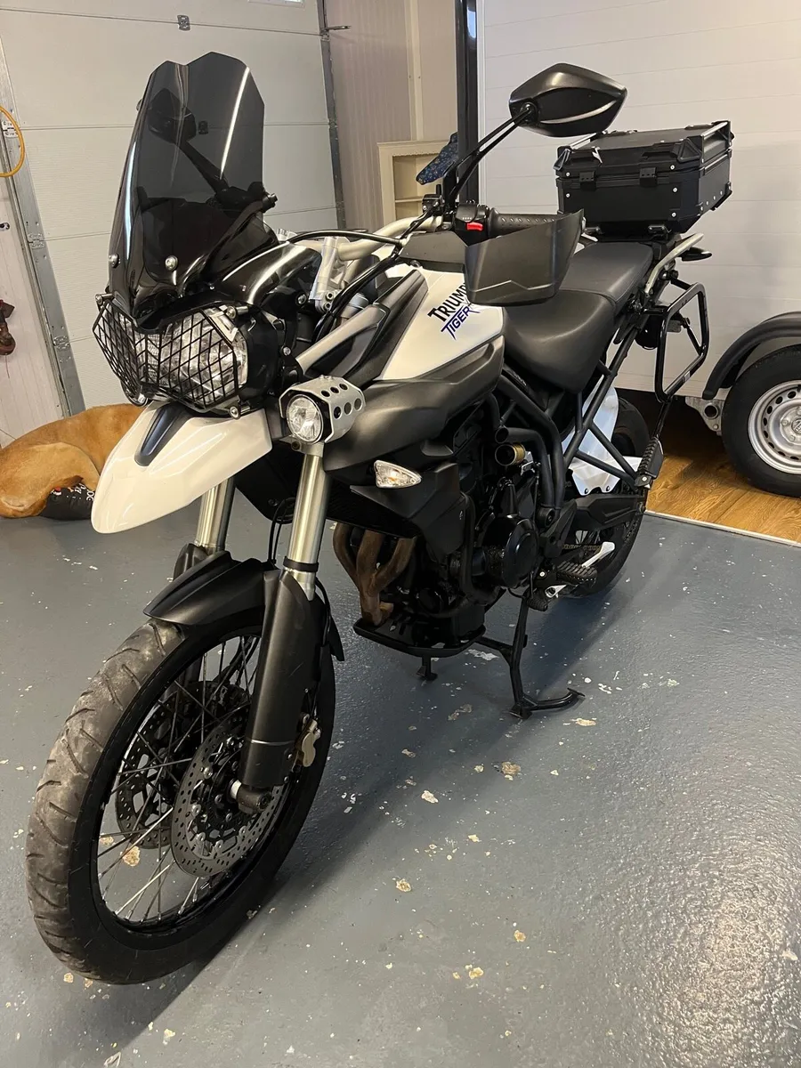 Triumph tiger 800 - Image 3