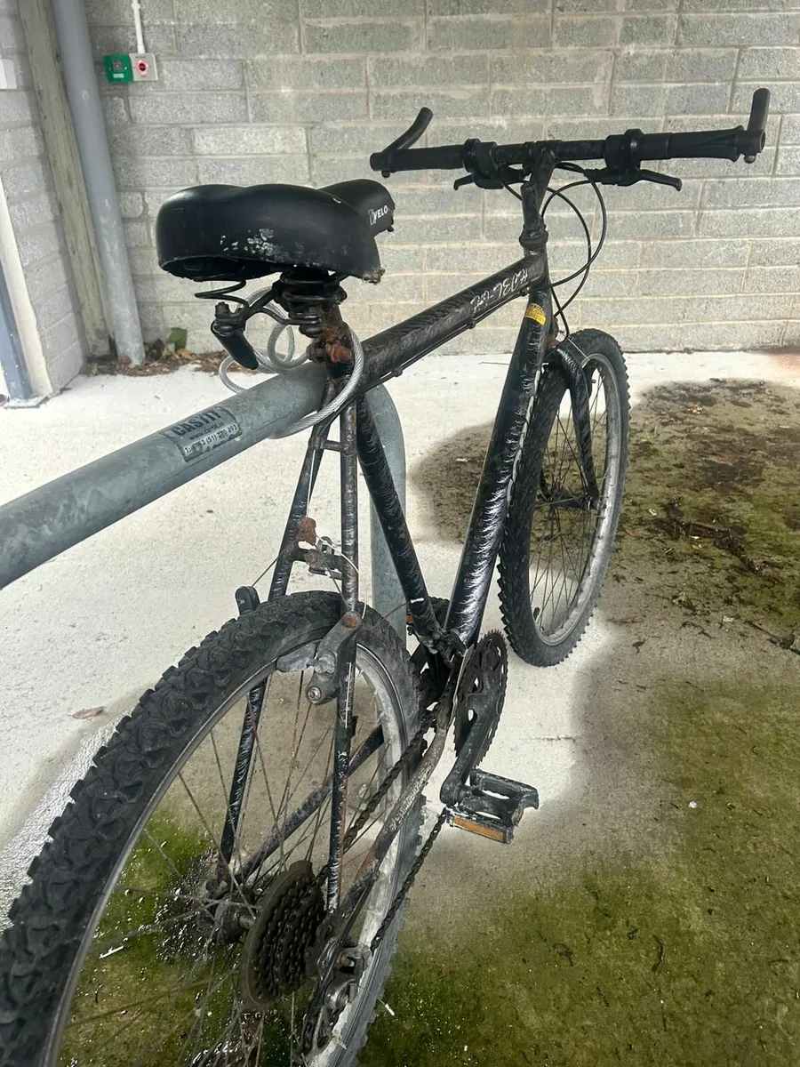 Bicycle - Image 2