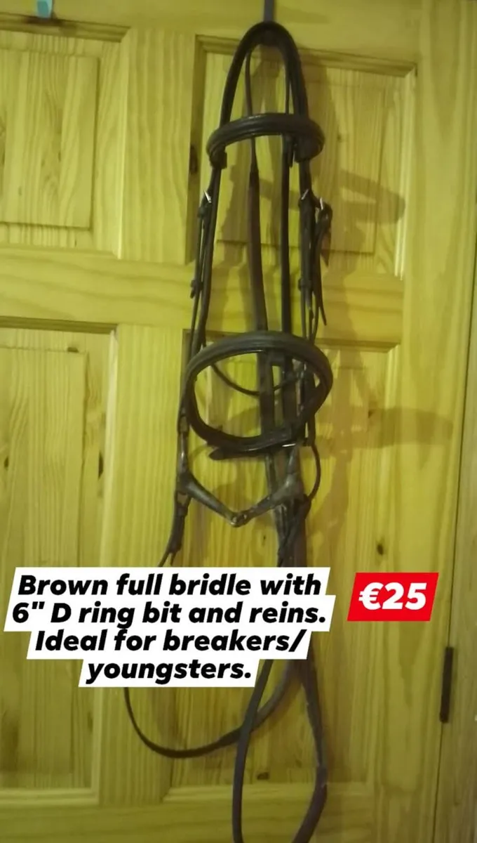 HORSE TACK - Image 3