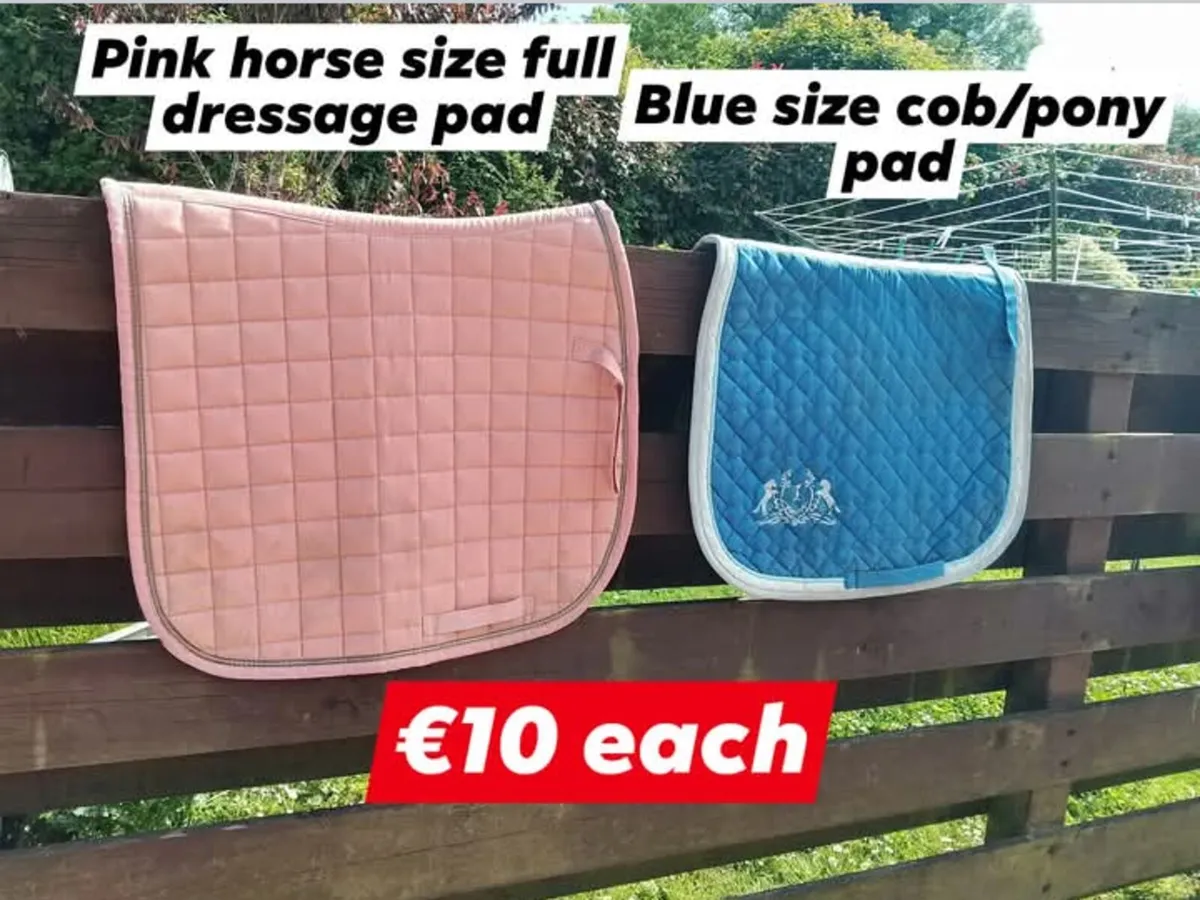 HORSE TACK - Image 1