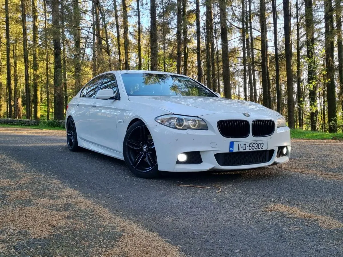 BMW F10 M Sport 520d - Image 1