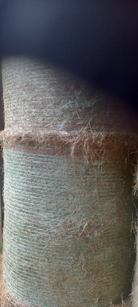 6 bales of hay - Image 2