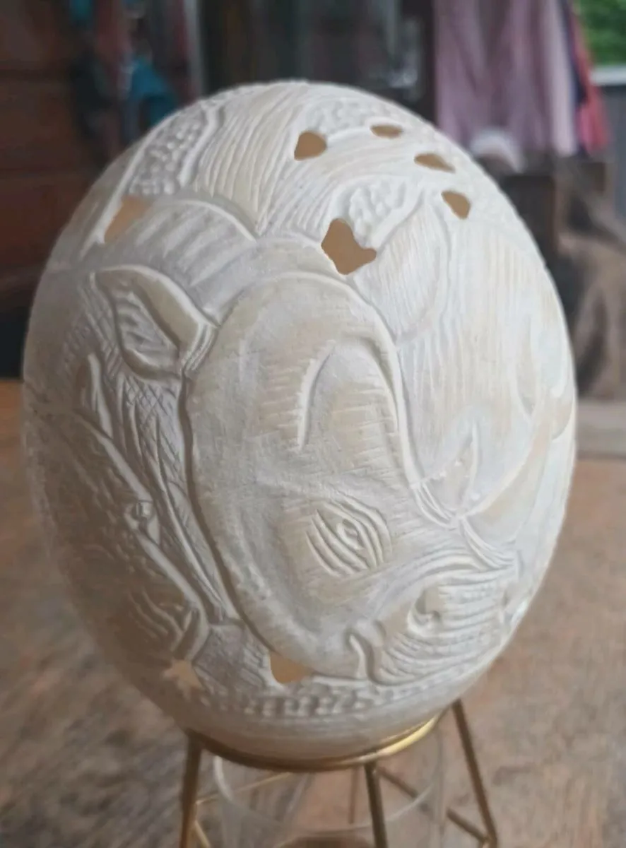 Dummie Khums ostrich egg, D18, rare find - Image 1