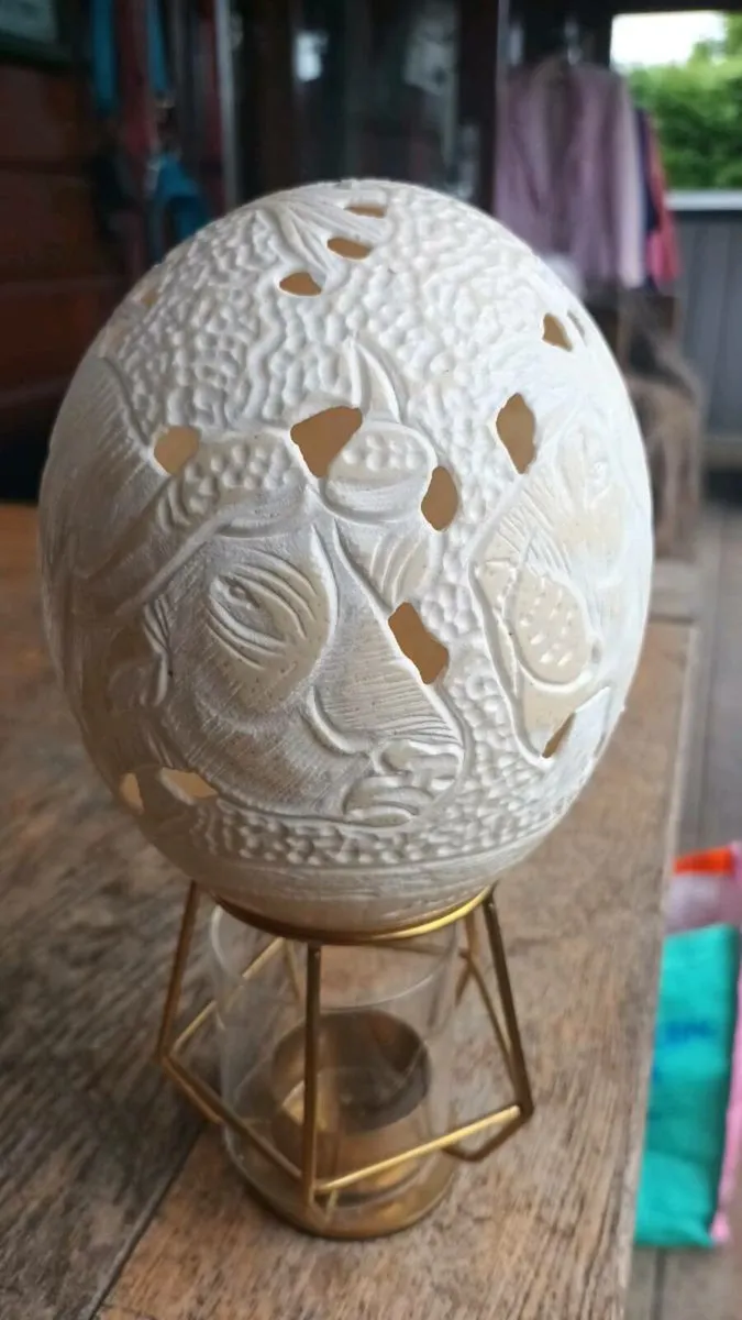 Dummie Khums ostrich egg, D18, rare find - Image 2