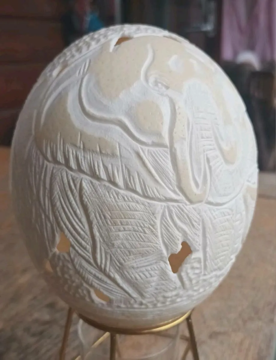 Dummie Khums ostrich egg, D18, rare find - Image 3