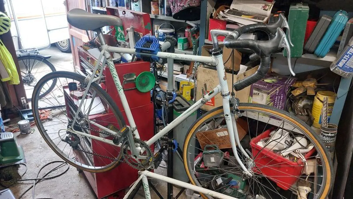 Raleigh Elan 501 Racer - Image 1