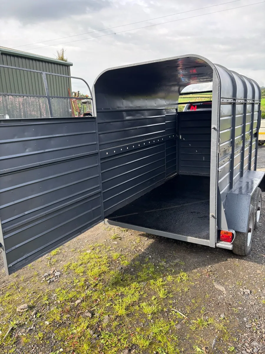 Murphy 8x4”6 cattle box - Image 3