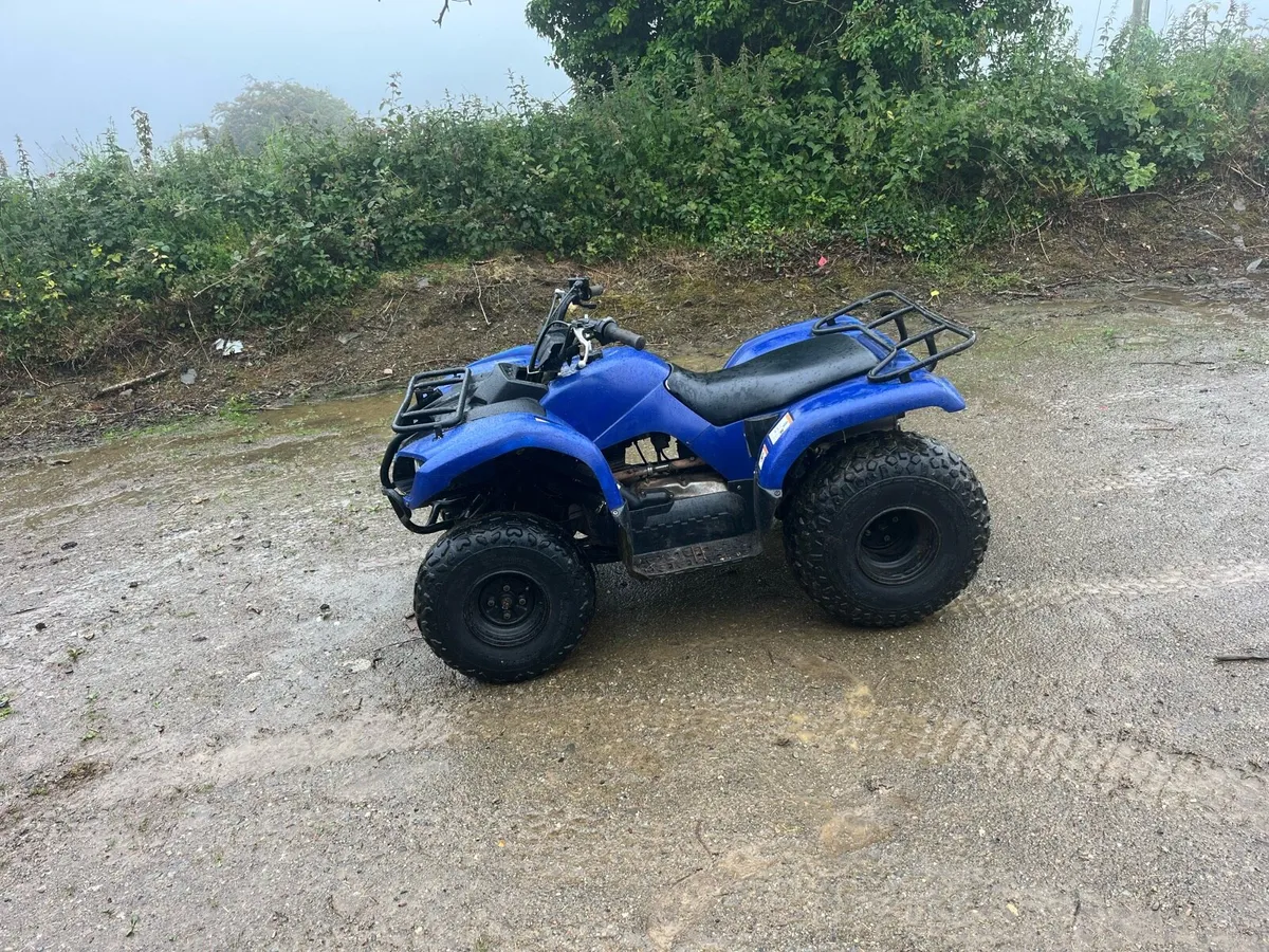 Grizzly 125 - Image 1
