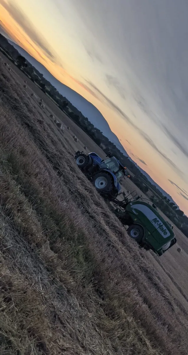 Barley straw 2024 in shed