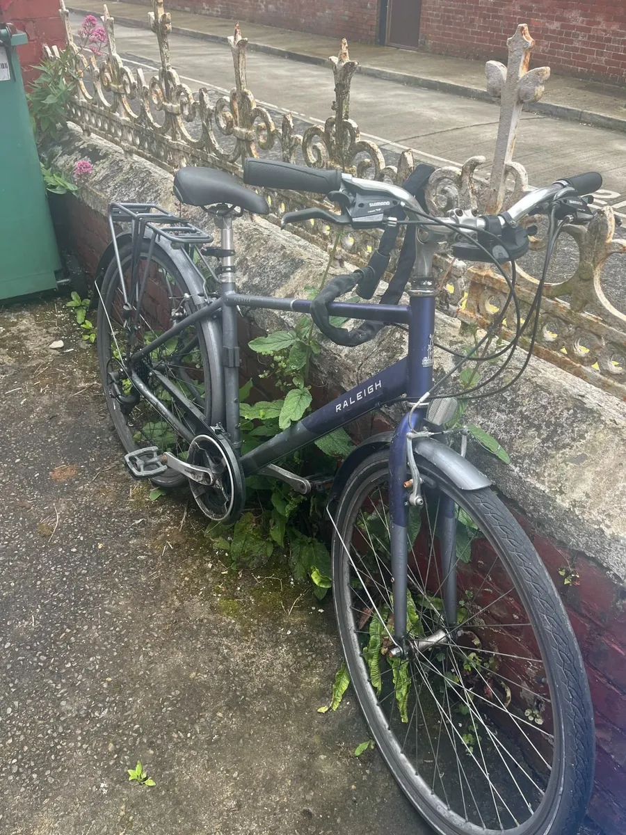 Raleigh Bicycle - Image 2