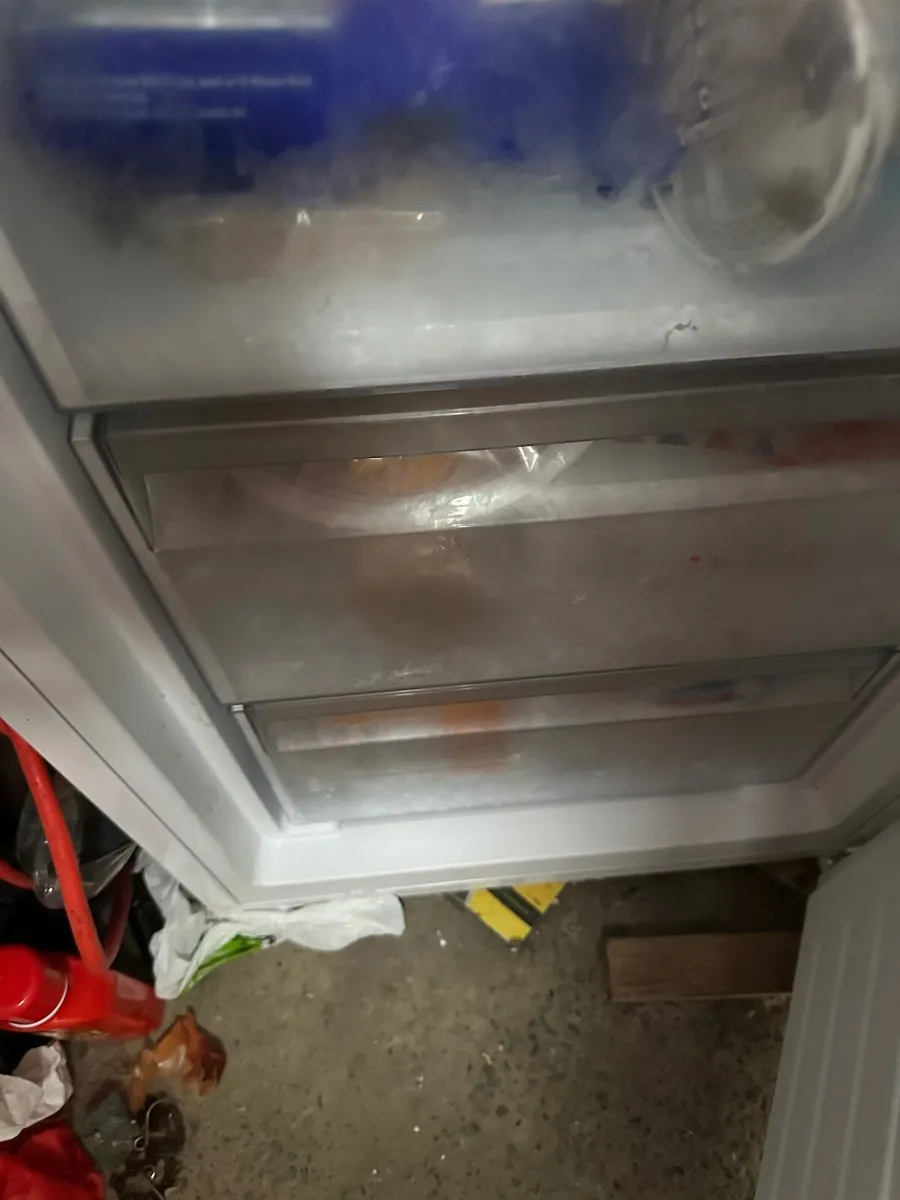 Fridge and tall freezer - Image 2