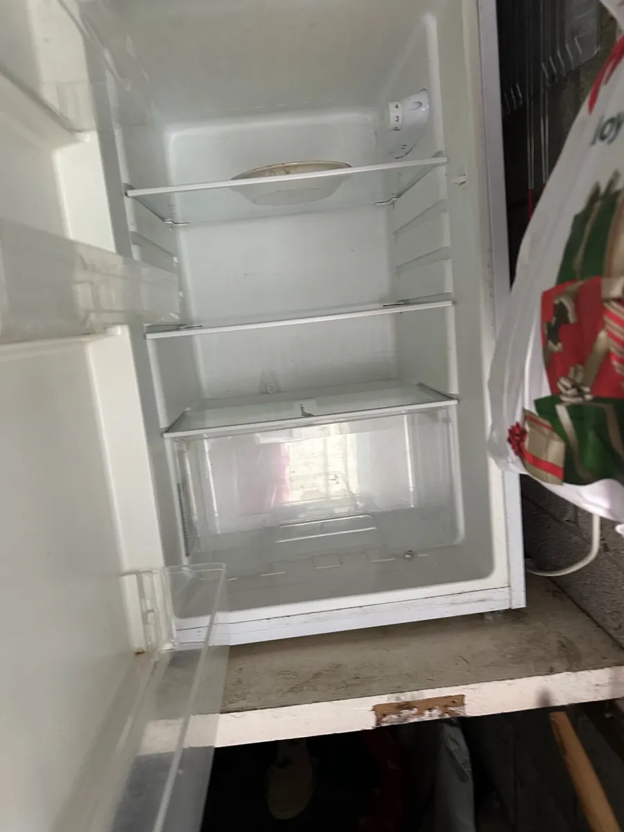 Fridge and tall freezer - Image 4
