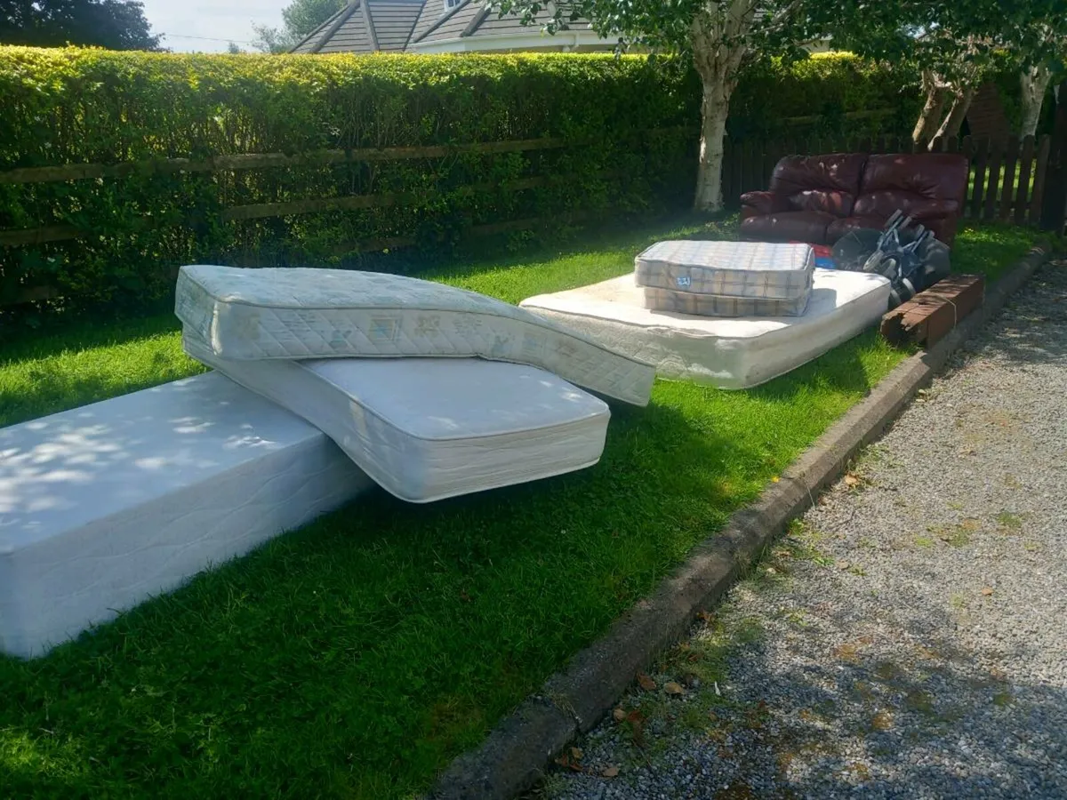 Rubbish removal - Image 4