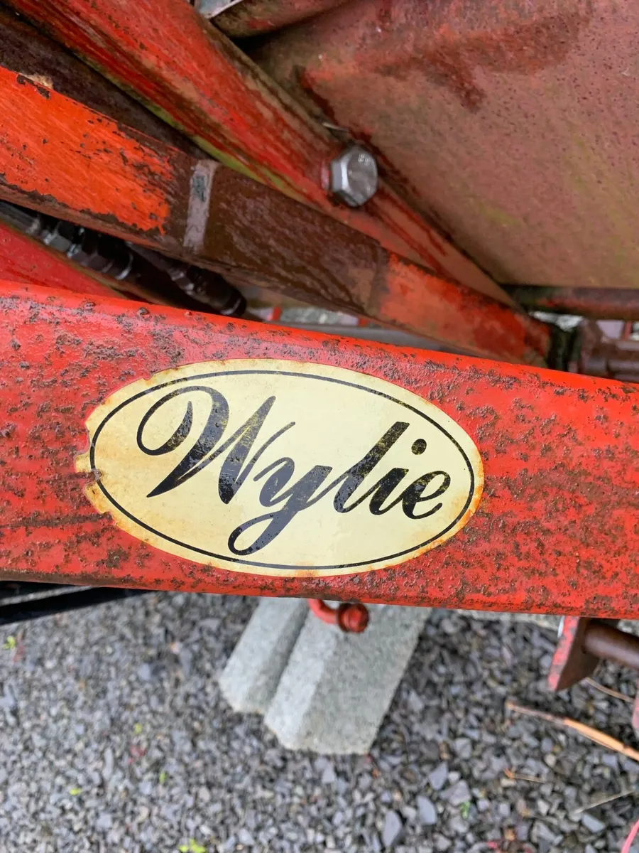 Wylie Push off buck rake - Image 2