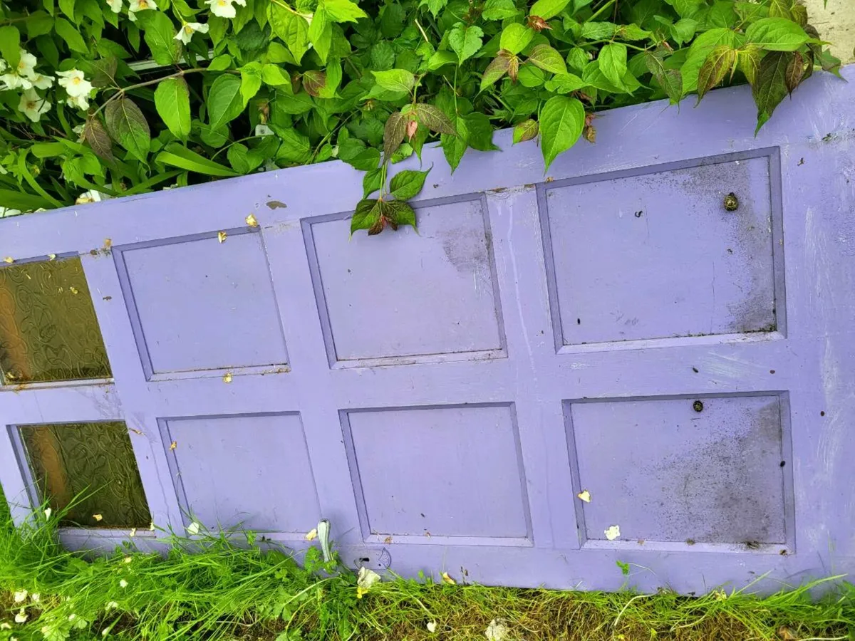 Pvc front door - Image 2