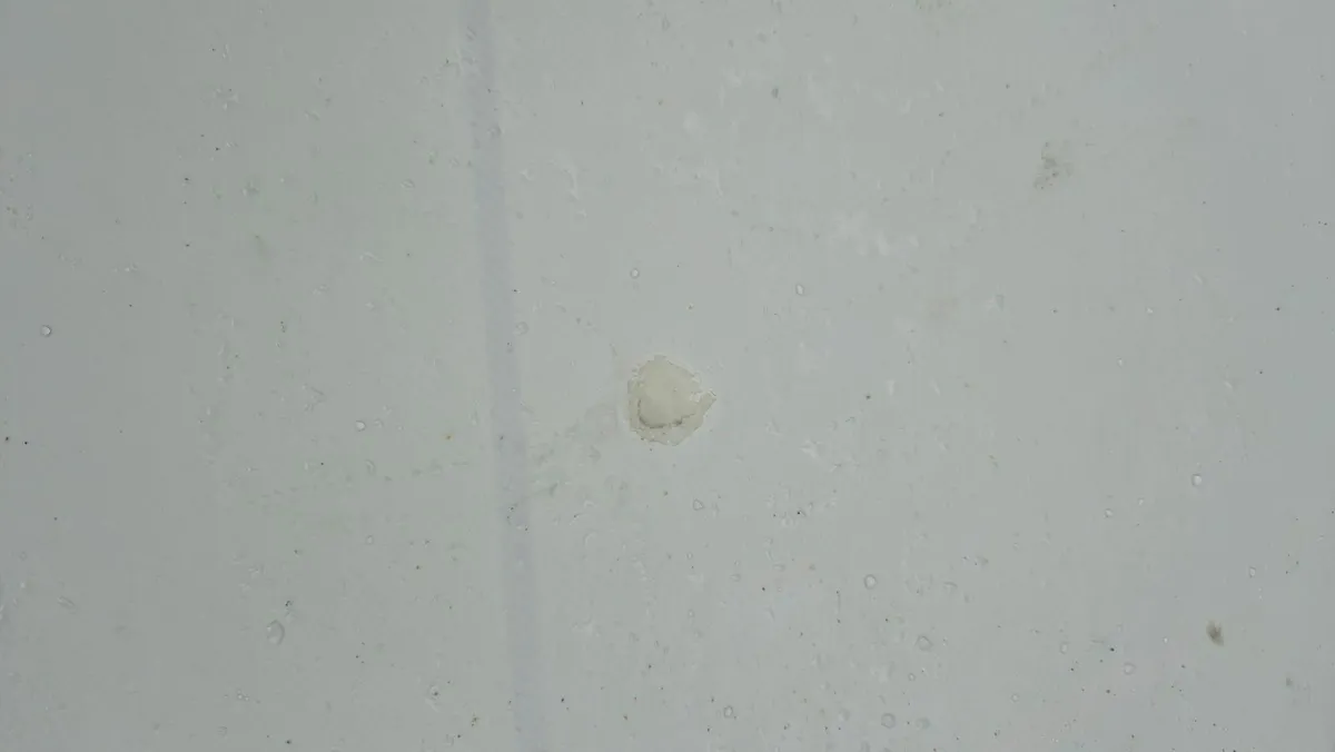 Surfboard - Image 4