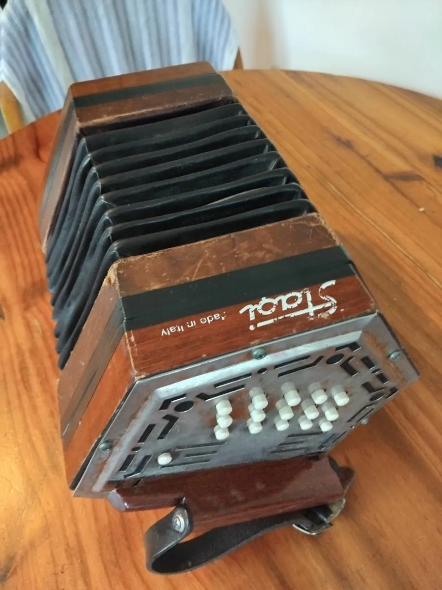 Concertina Stagi - Made in Italy