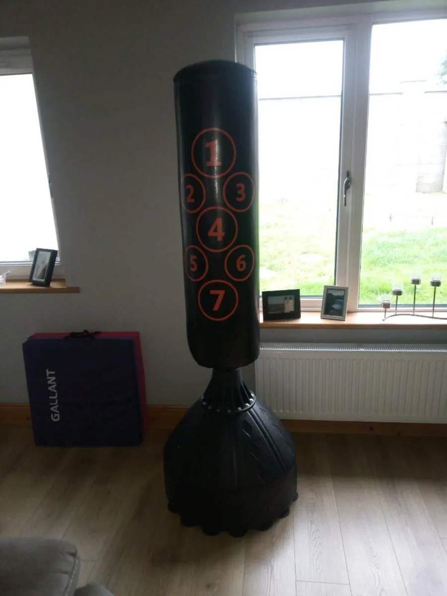 Boxing Bag