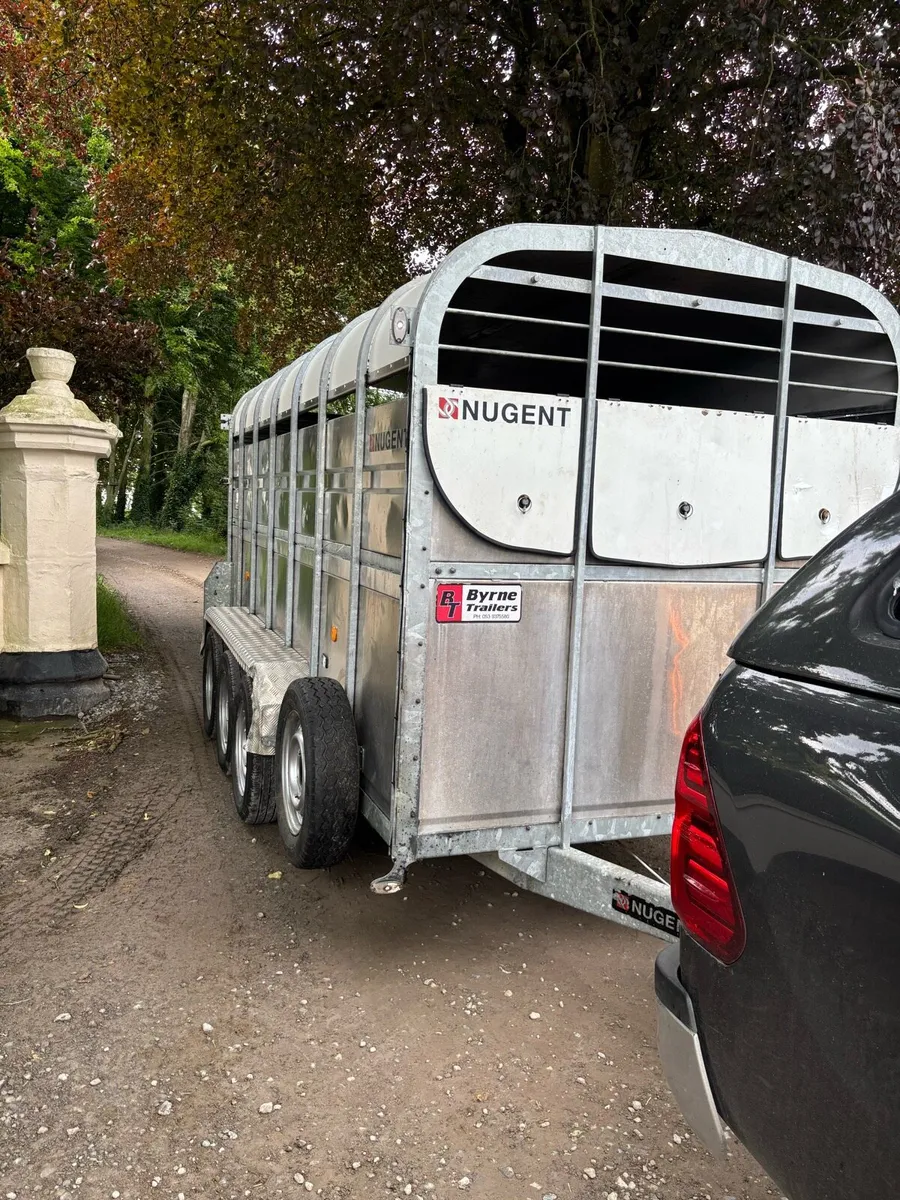 Tri axel Nugent cattle trailer - Image 1