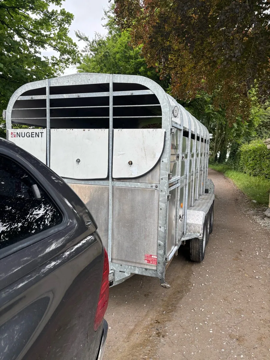 Tri axel Nugent cattle trailer - Image 2