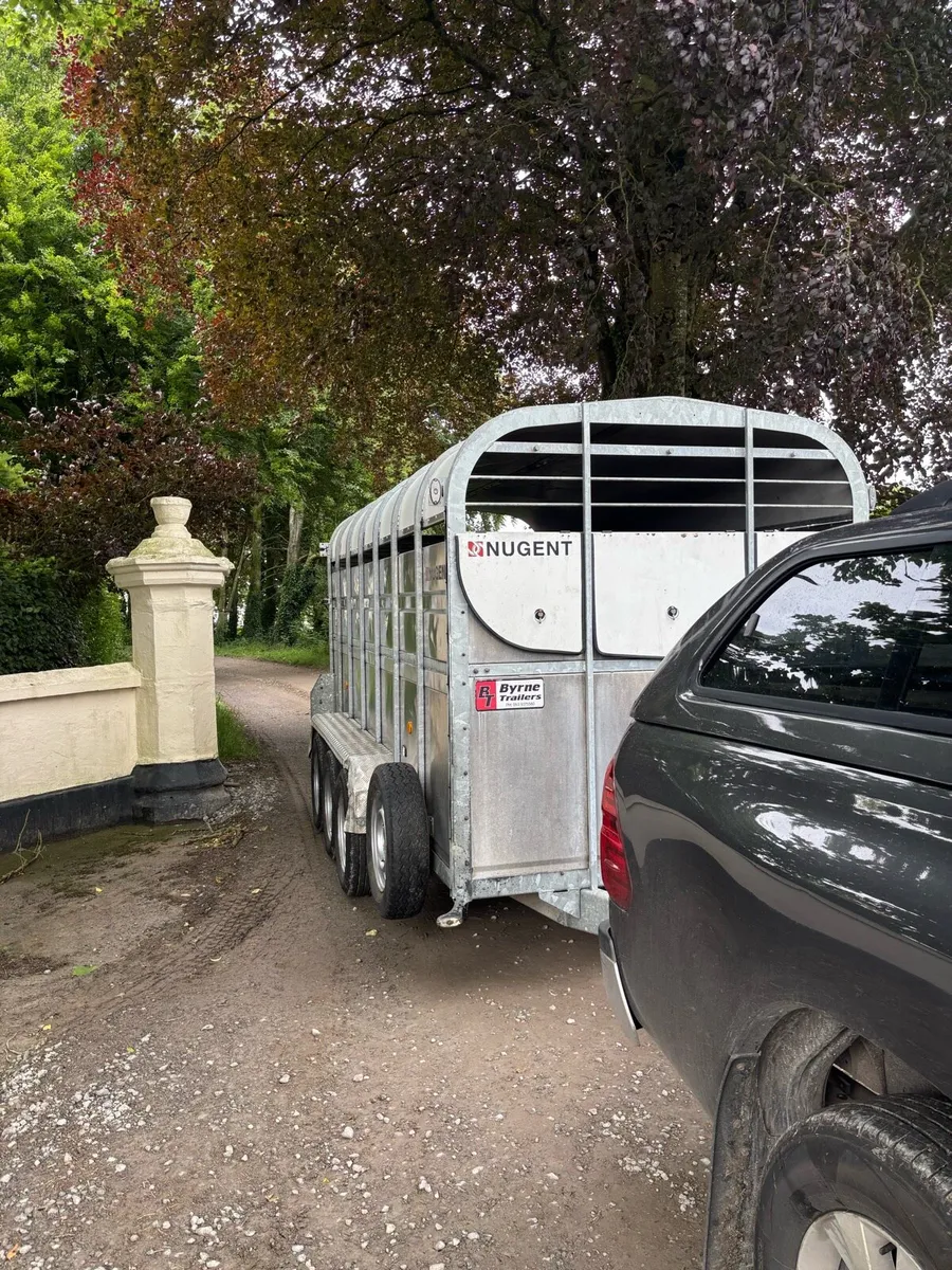 Tri axel Nugent cattle trailer - Image 3