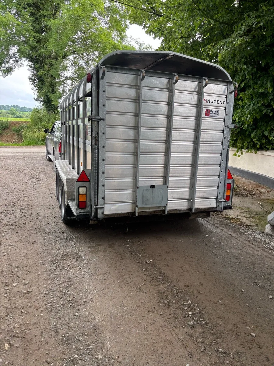 Tri axel Nugent cattle trailer - Image 4