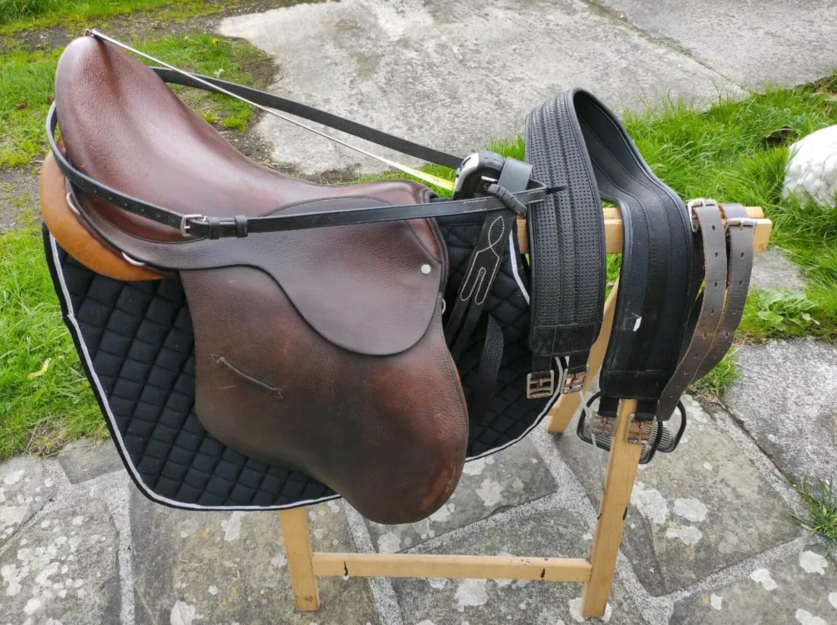 Saddle & Riding Tackle - Image 1
