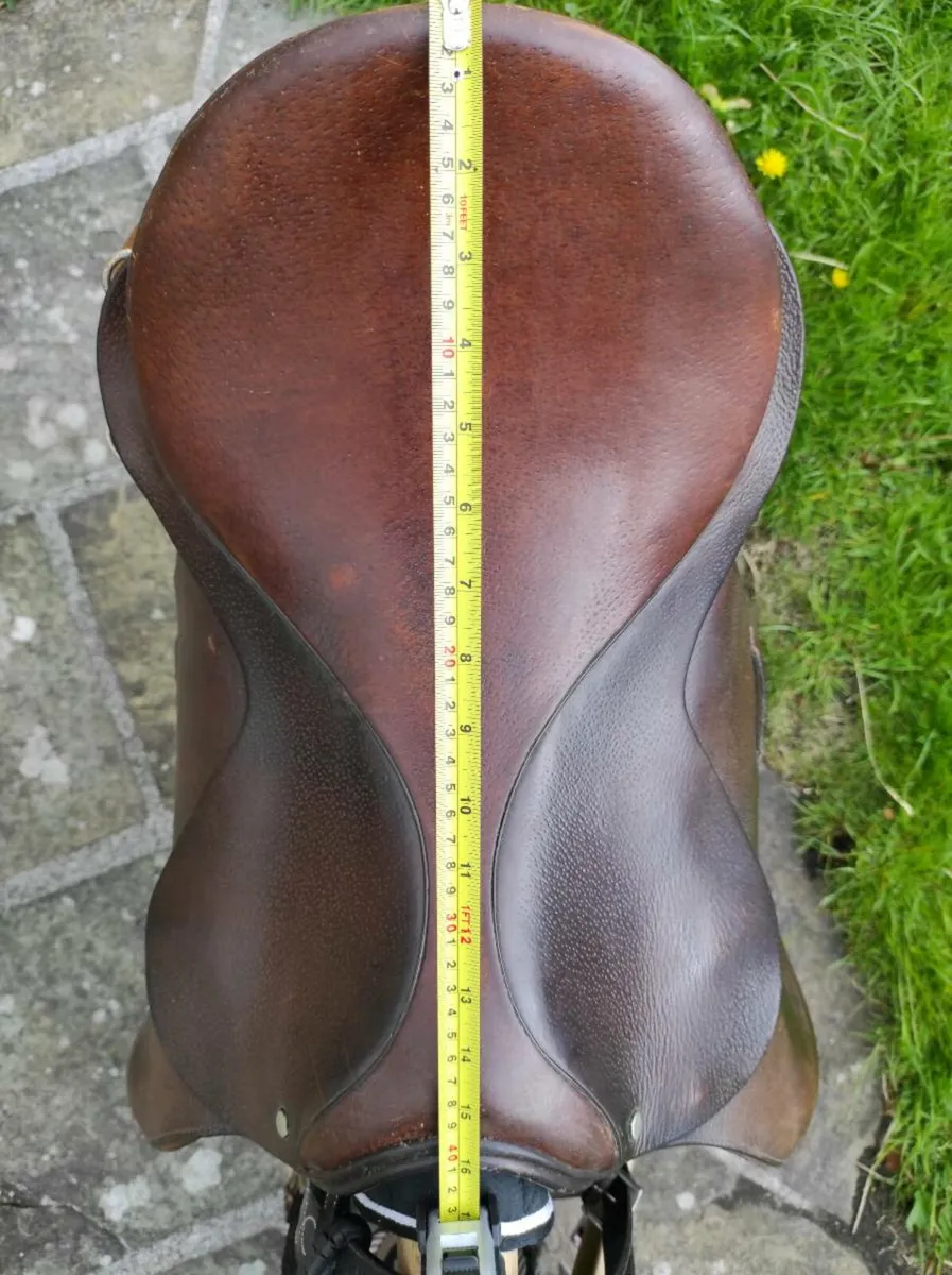 Saddle & Riding Tackle - Image 2