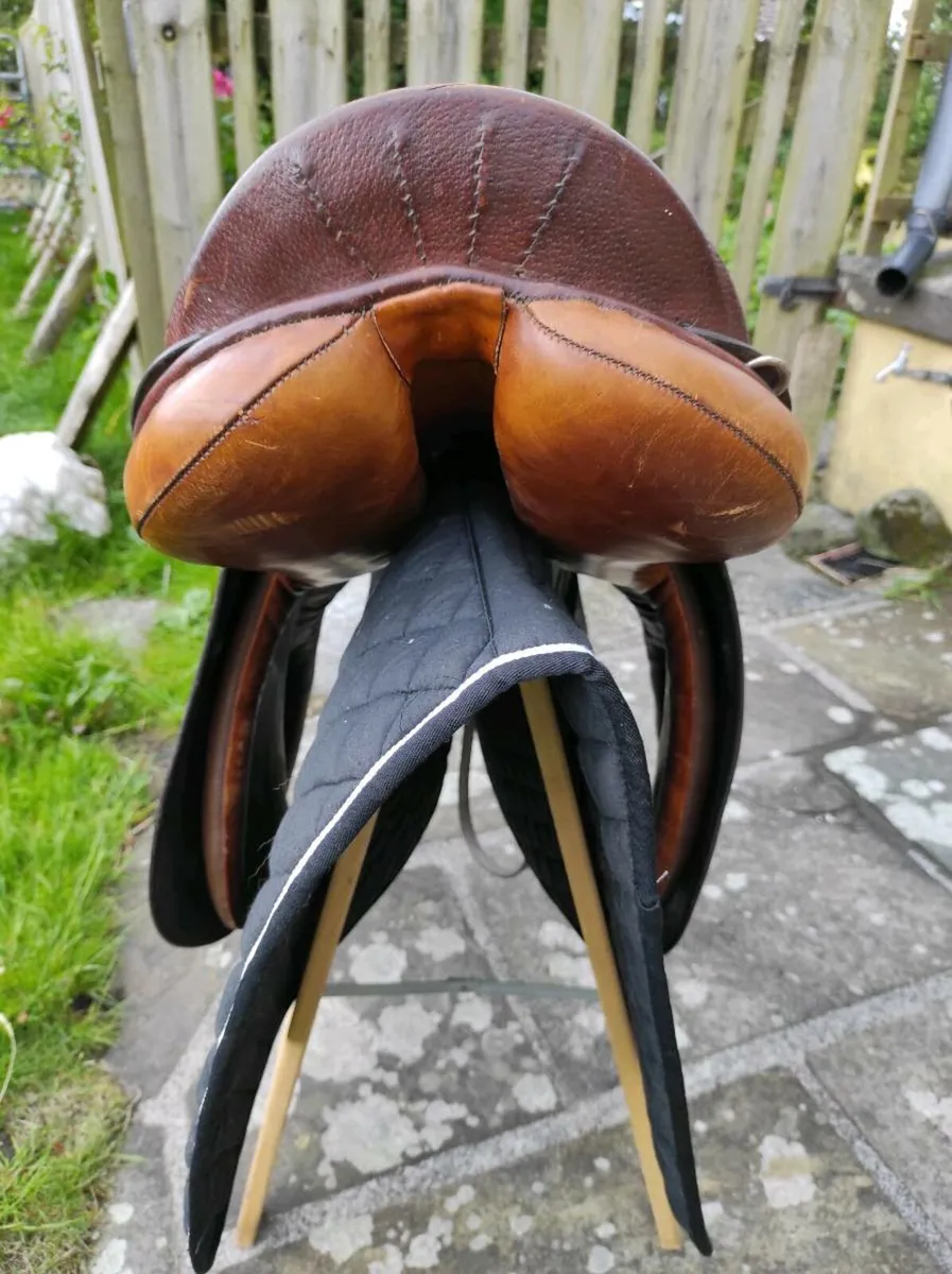 Saddle & Riding Tackle - Image 3