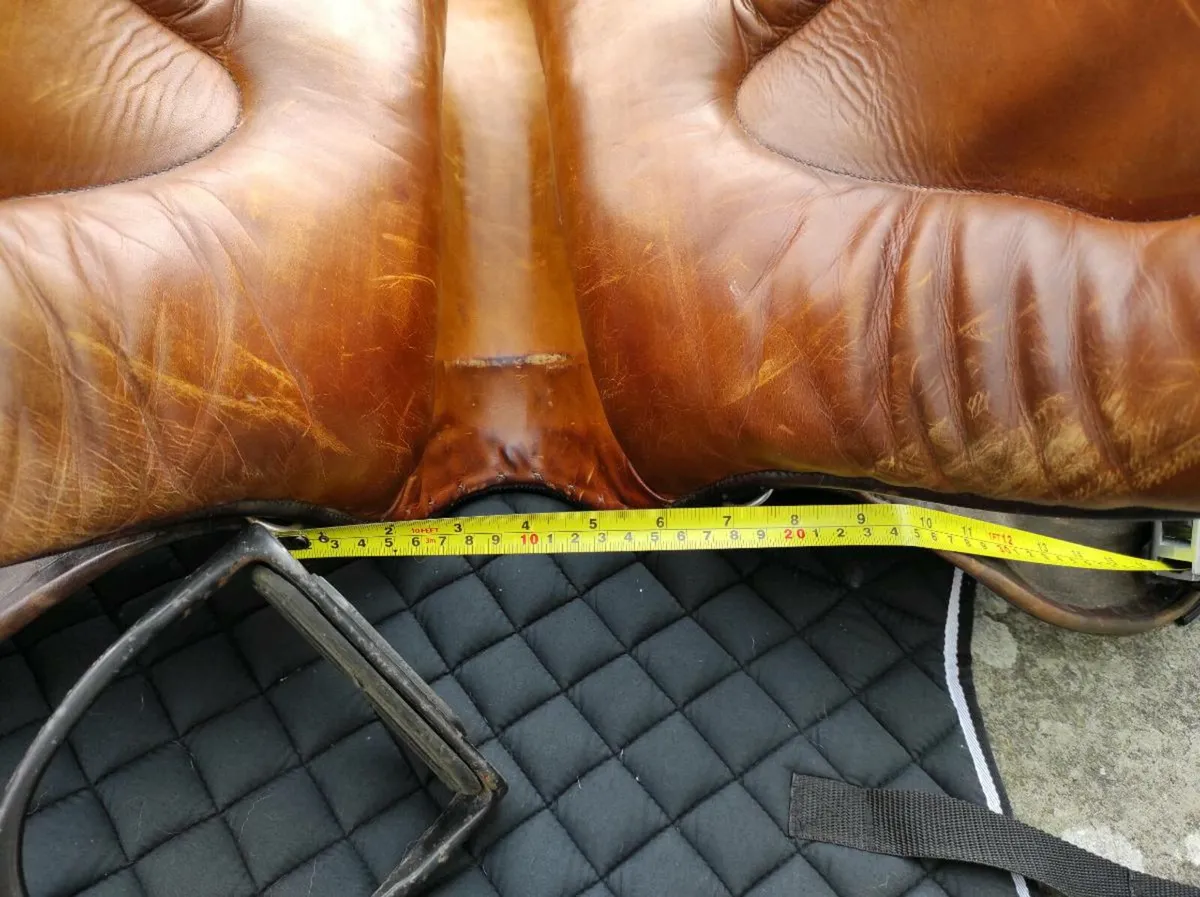 Saddle & Riding Tackle - Image 4