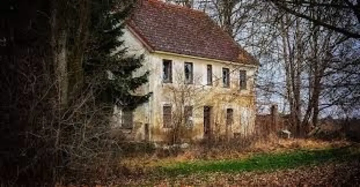Vacant & Derelict Property Grant Applications - Image 3