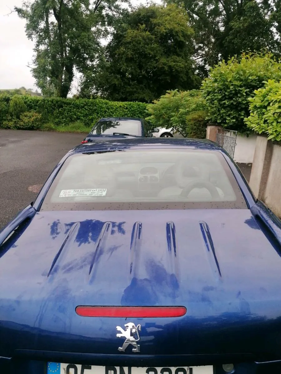 Peugeot 206 coupe - Image 3