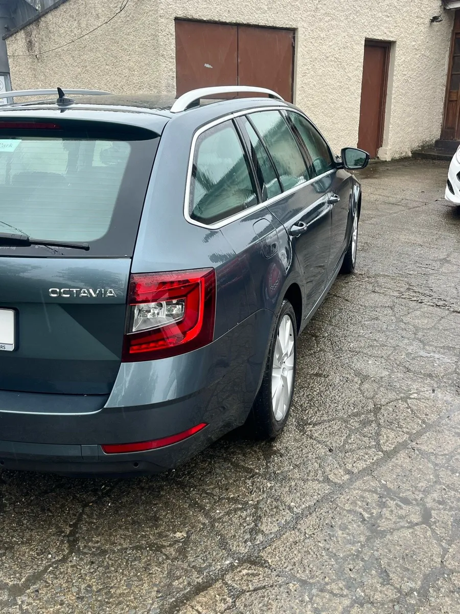 2019 octivia tdi auto est - Image 4