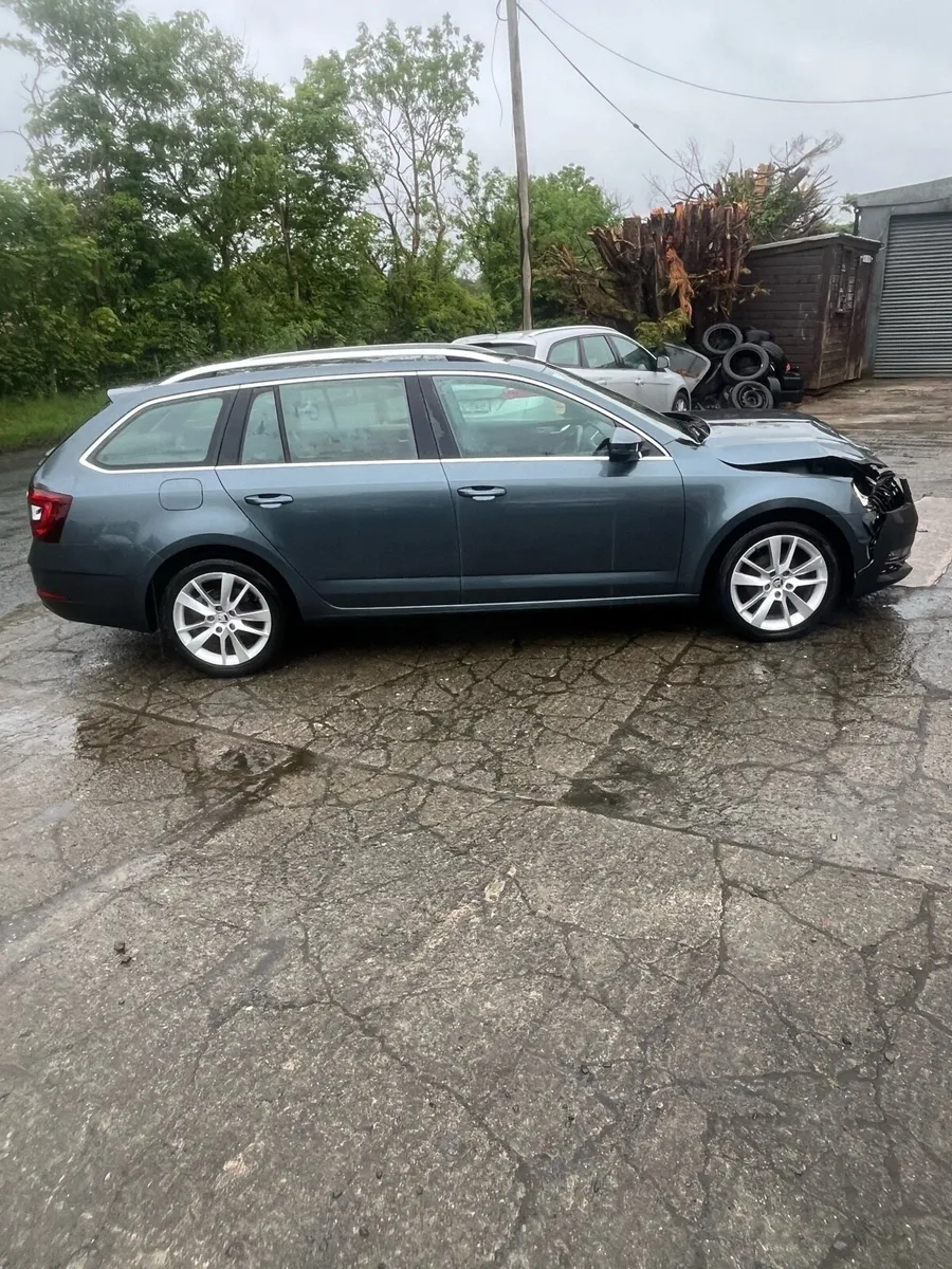 2019 octivia tdi auto est - Image 1