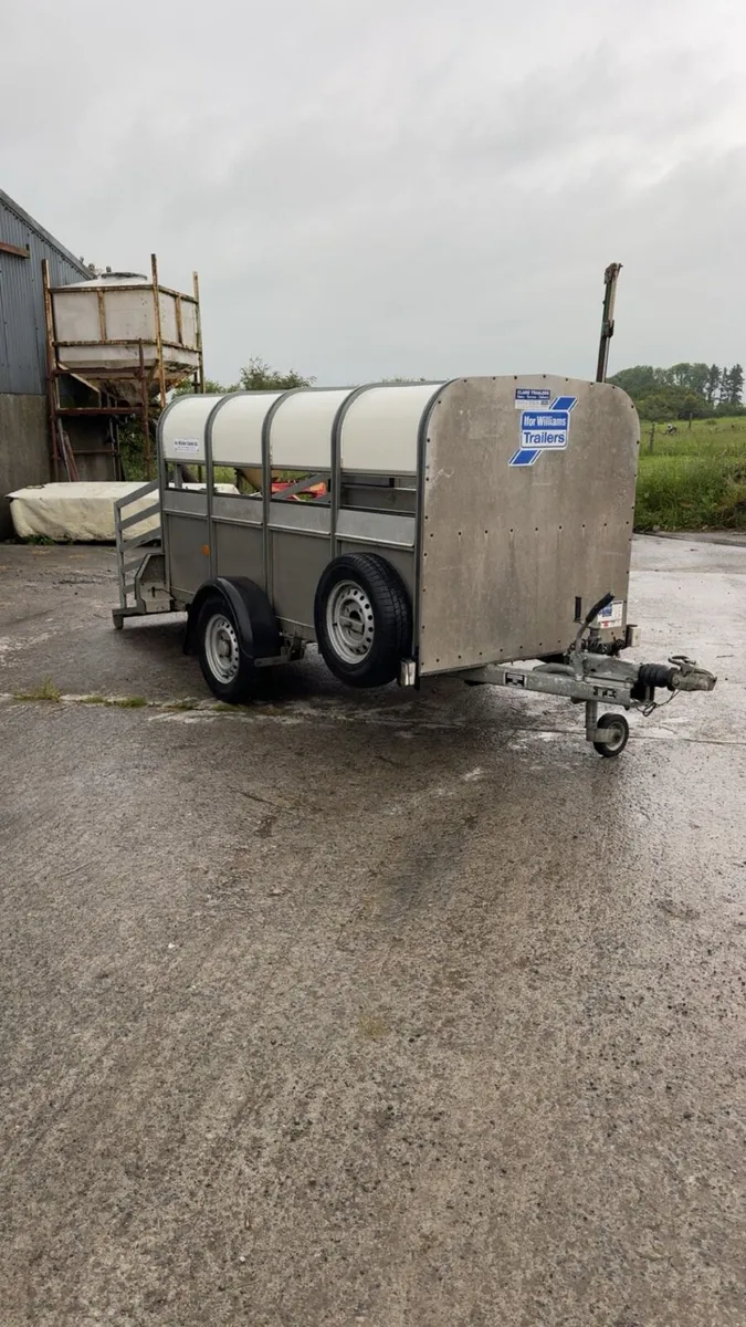 8x4 ifor Williams sheep traijer - Image 1