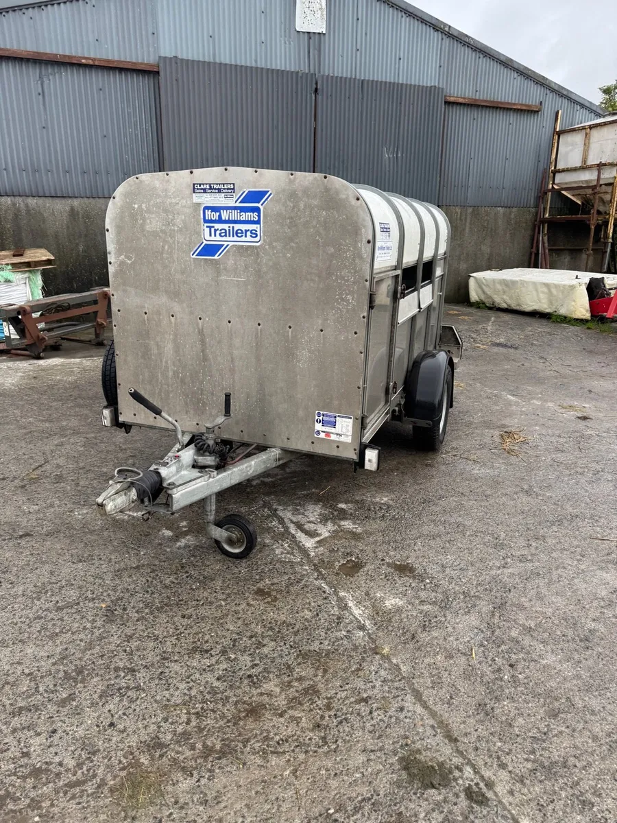 8x4 ifor Williams sheep traijer - Image 2