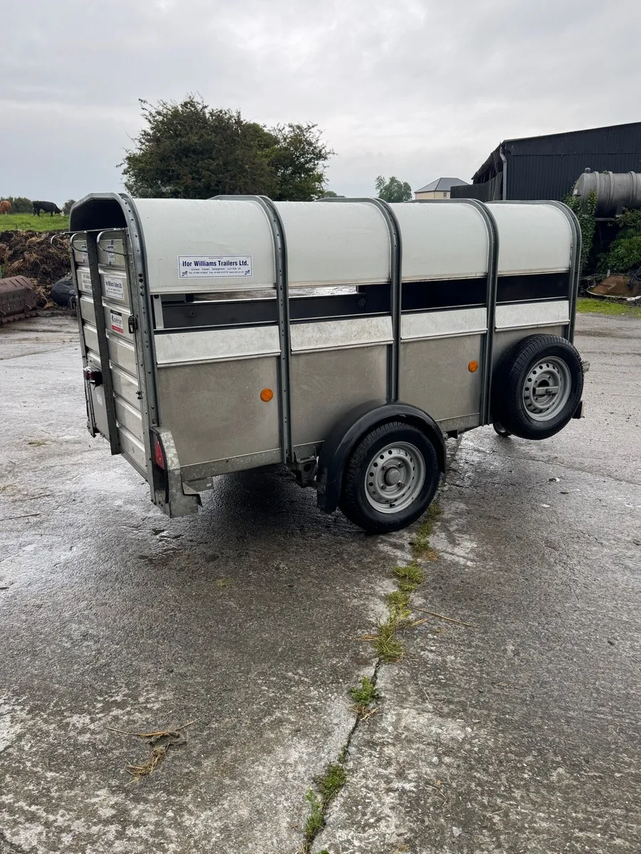 8x4 ifor Williams sheep traijer - Image 3