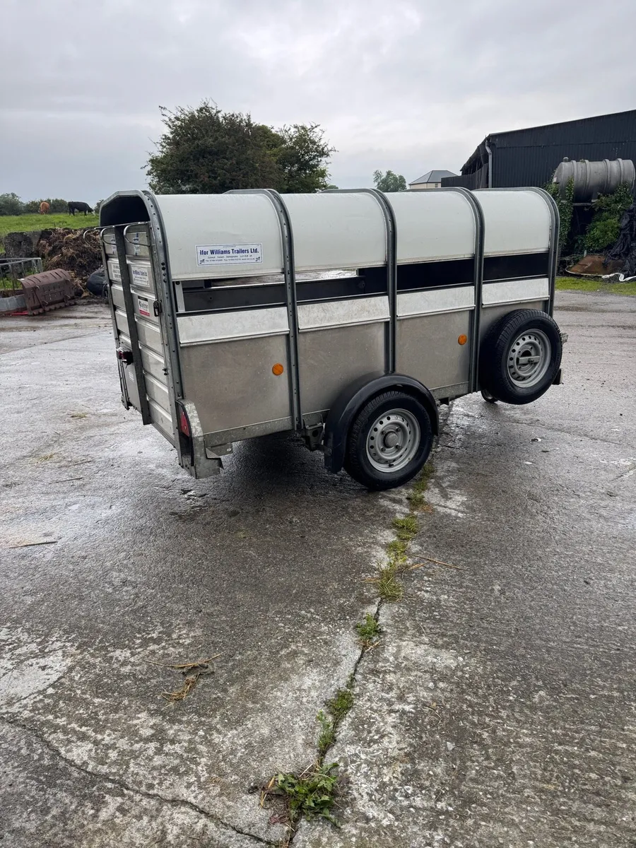 8x4 ifor Williams sheep traijer - Image 4