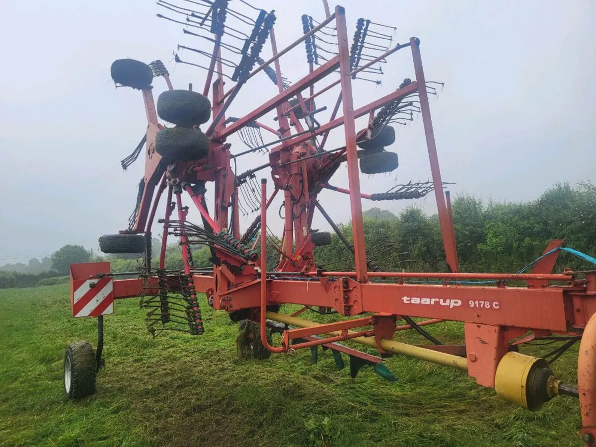 Tarrup rake - Image 1