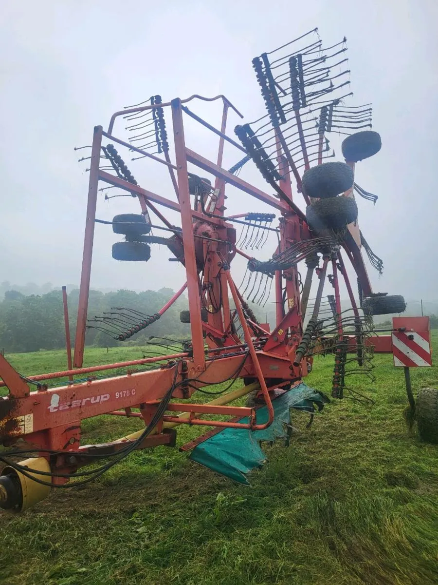 Tarrup rake - Image 2