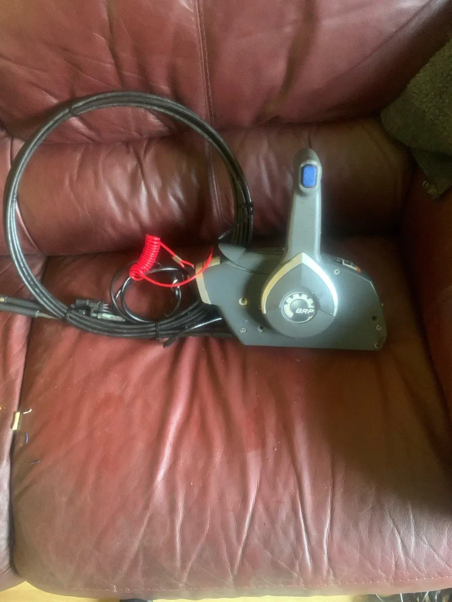 Evinrude control box and and as cables