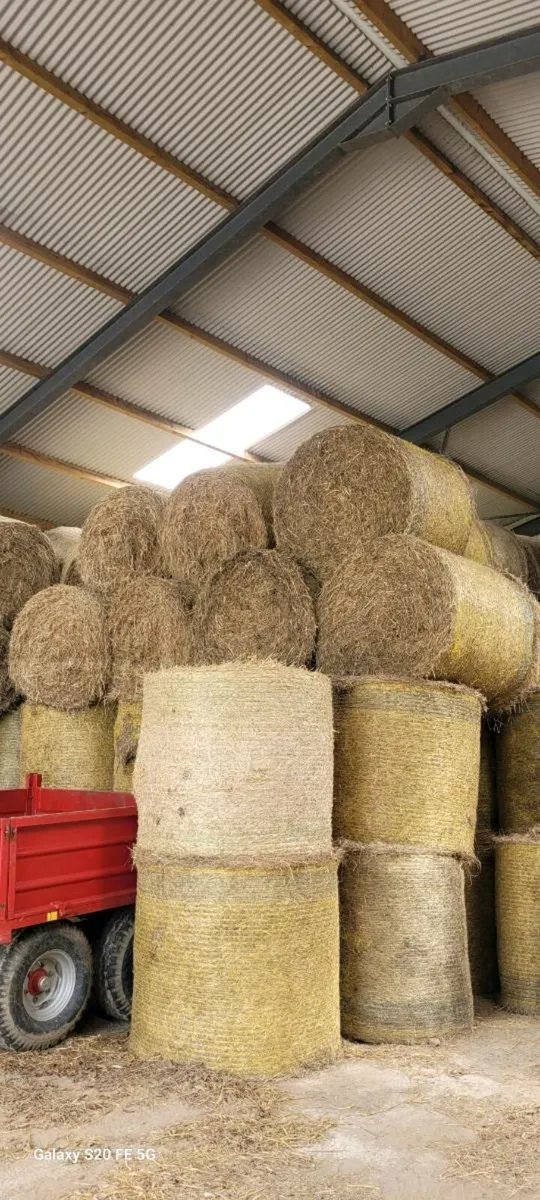 Hay for sale - Image 1