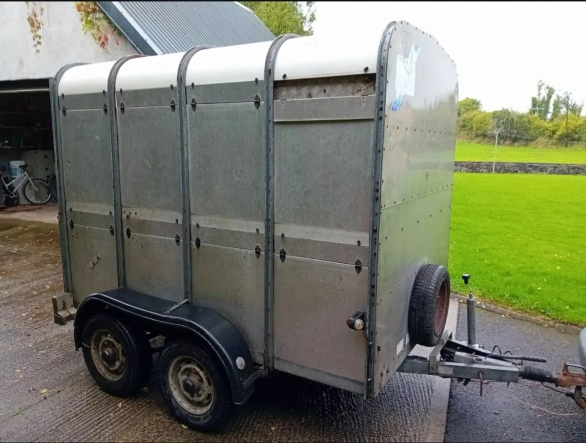 Sheep trailer with decks - Image 3