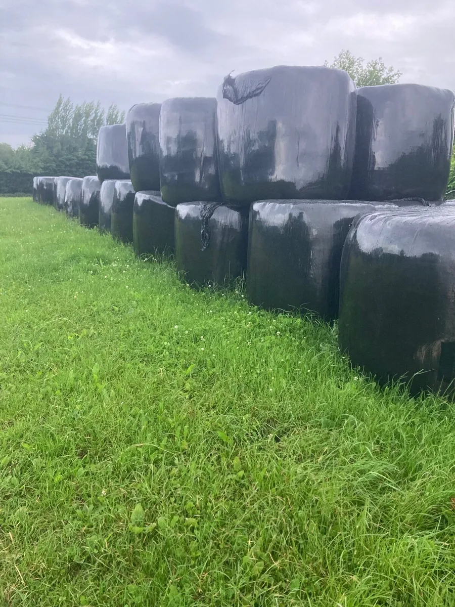 Silage bales