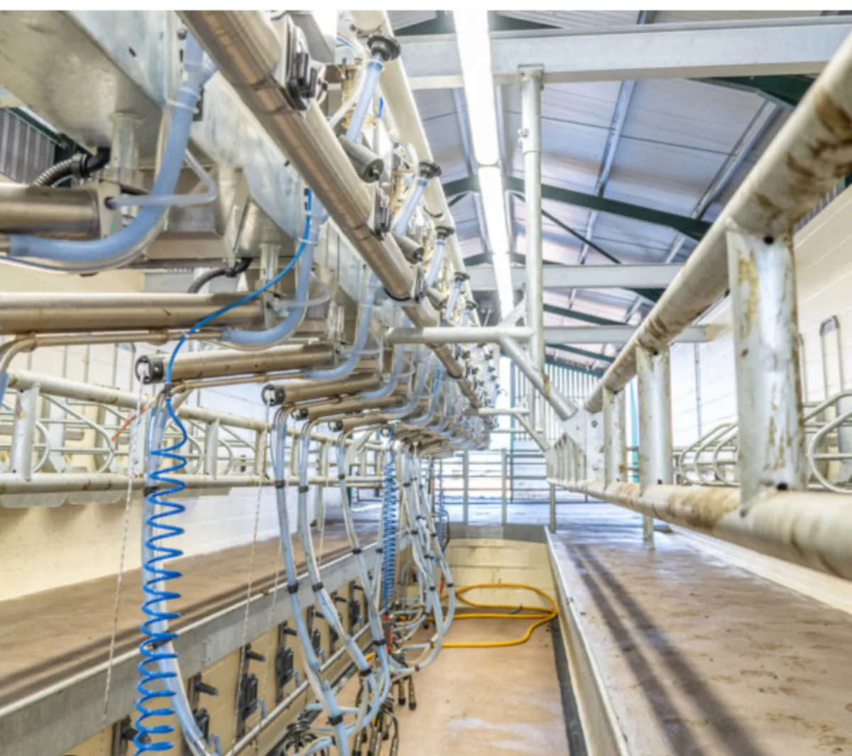 Relief Milker Available